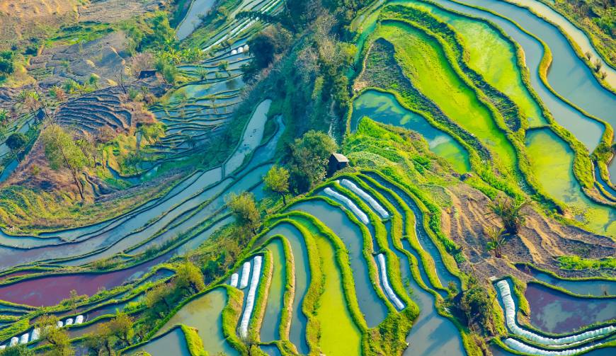 宝妈必备神器：电白县产品视频拍摄轻松育儿好帮手