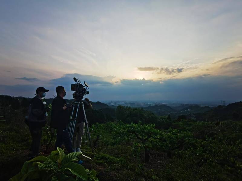 聚焦电白县产品宣传视频拍摄公司，用专业实力铸就品牌传播传奇