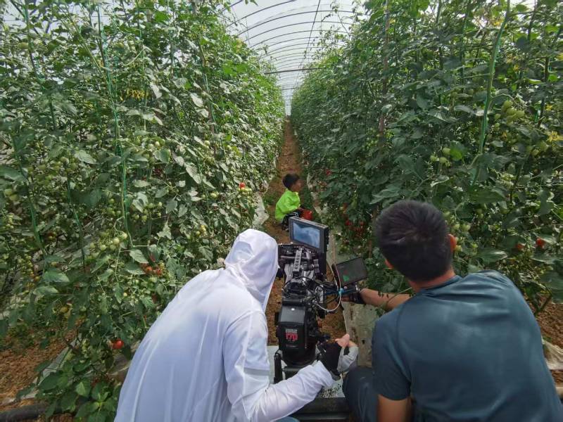 电白县产品宣传视频拍摄公司进阶指南，助力品牌抢占传播高地